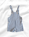 Blue Stripe Overalls